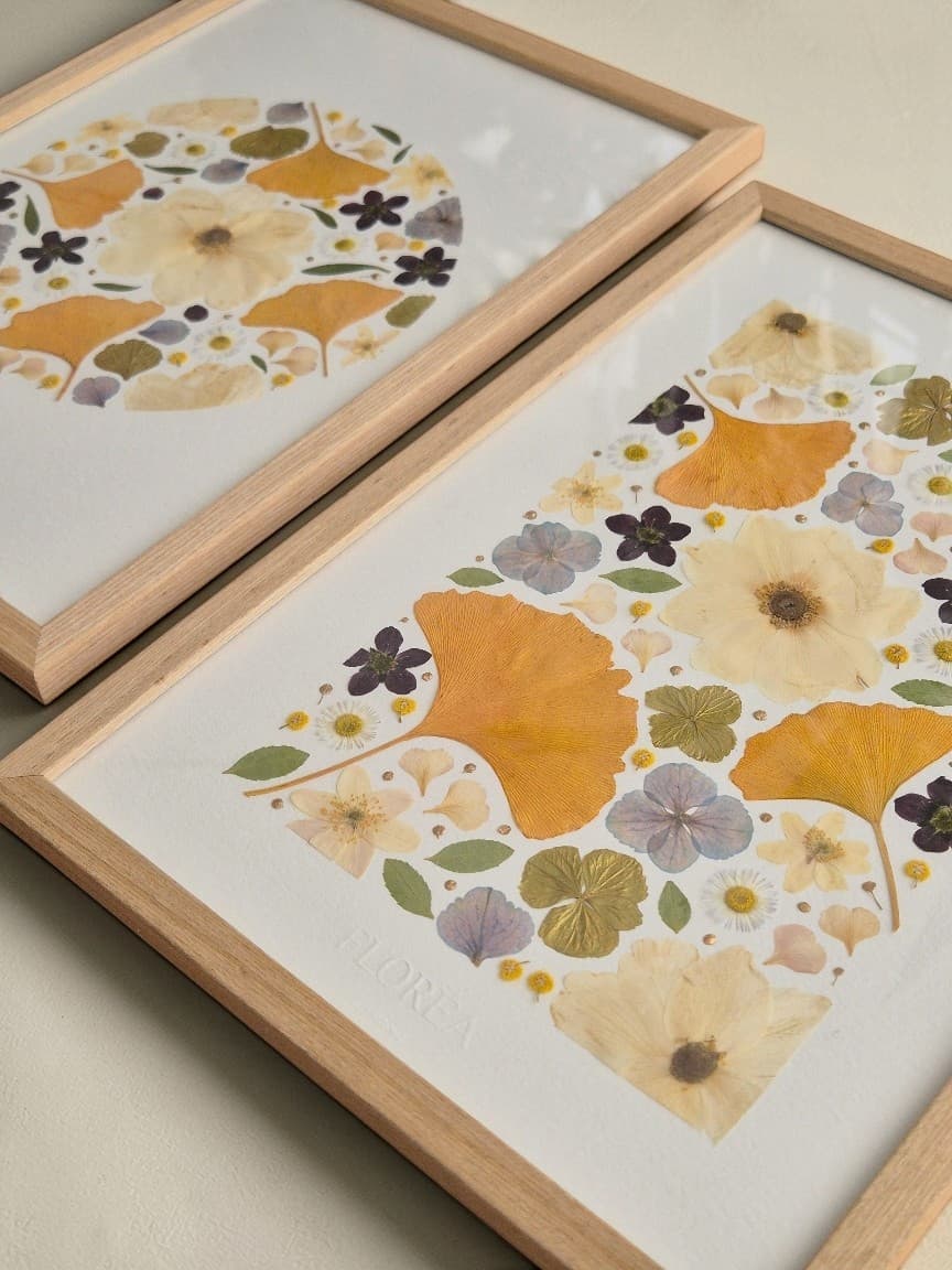 Herbier Ginkgo